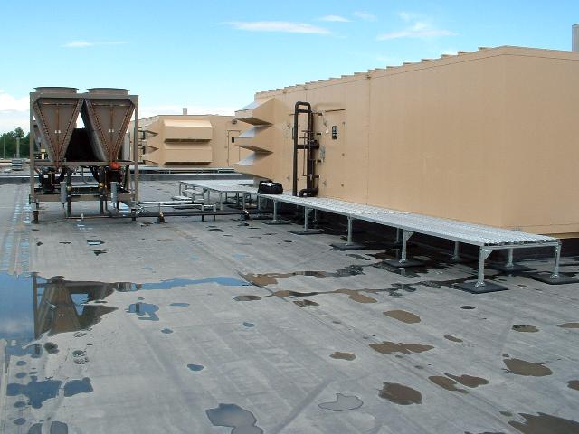pr55_06